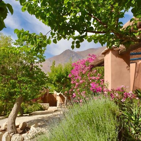 Refugio Misterios Del Elqui Bed and Breakfast Pisco Elqui Buitenkant foto