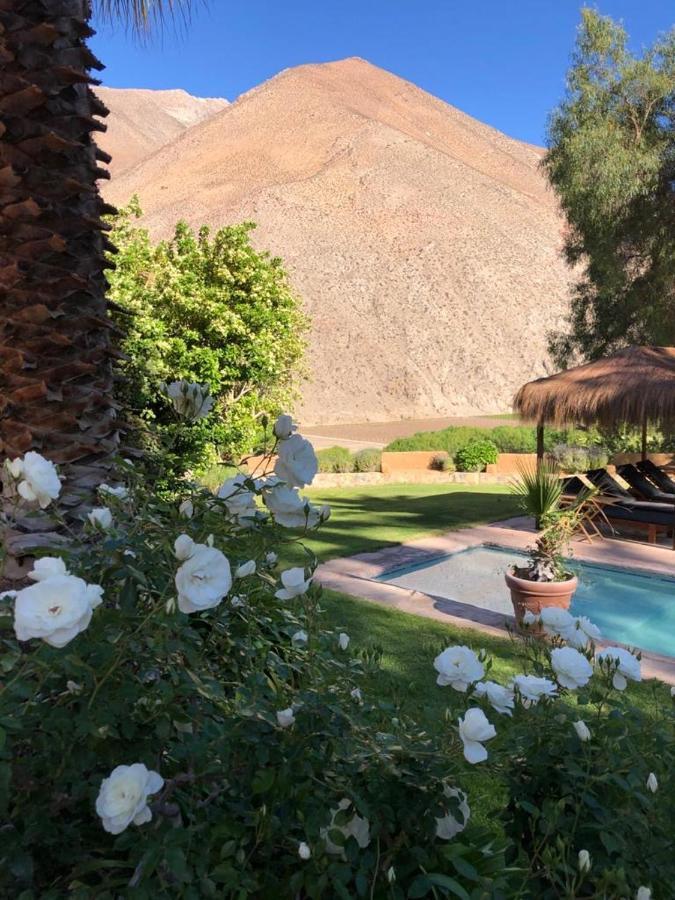 Refugio Misterios Del Elqui Bed and Breakfast Pisco Elqui Buitenkant foto