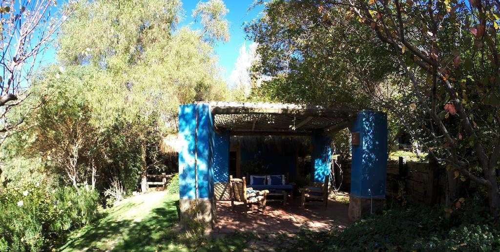 Refugio Misterios Del Elqui Bed and Breakfast Pisco Elqui Buitenkant foto