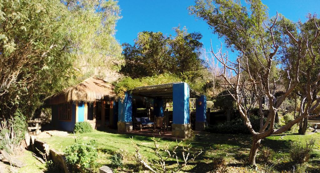 Refugio Misterios Del Elqui Bed and Breakfast Pisco Elqui Buitenkant foto