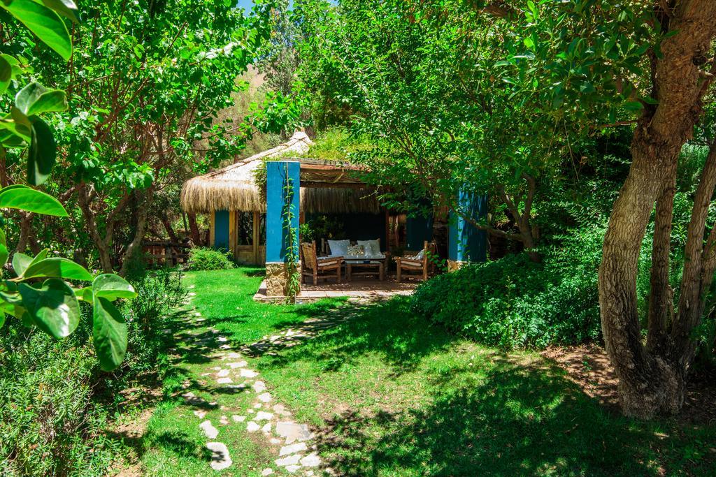 Refugio Misterios Del Elqui Bed and Breakfast Pisco Elqui Buitenkant foto