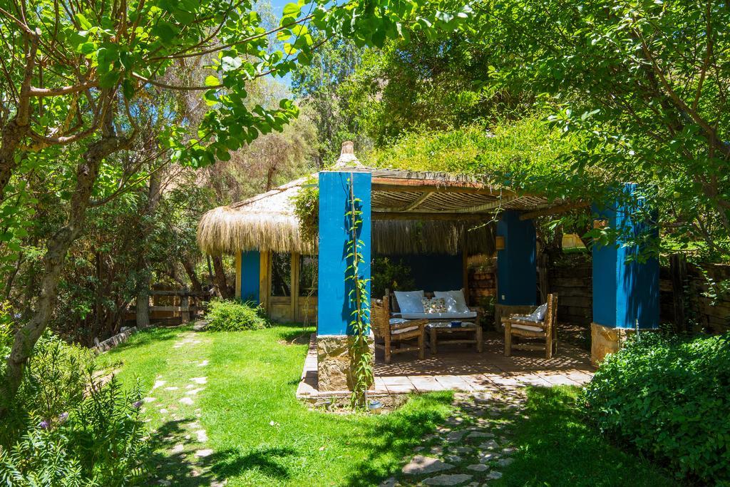 Refugio Misterios Del Elqui Bed and Breakfast Pisco Elqui Buitenkant foto